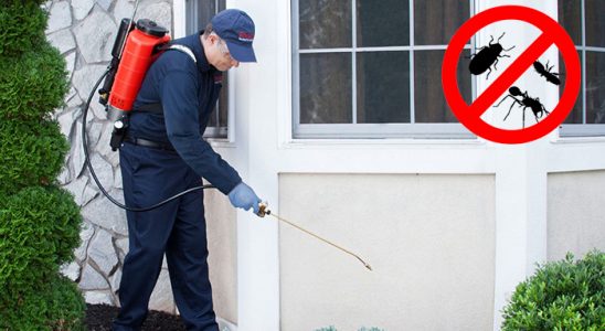 Kaynarca Akrep İlaçlama böcek ilaçlama ve haşere kontrolü — ilaclama-tr.com